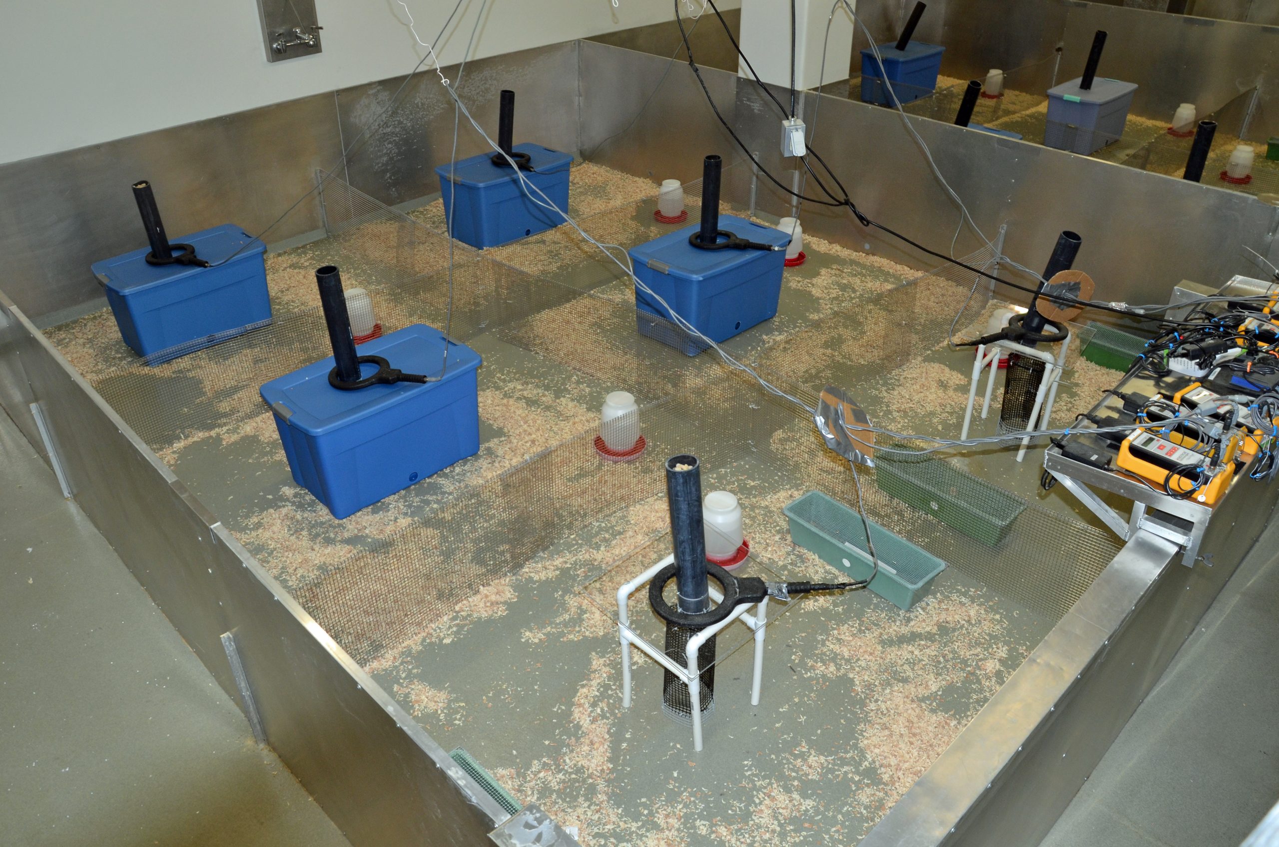 A “mouse barn” such as the one shown here at the University of Utah is the heart of a new, sensitive toxicity test that allows house-type mice to compete in a seminatural environment so researchers can measure how exposure to sugar, medicines and other substances affects the mice in terms of their survival, reproduction and ability to hold territory. The blue tubs and green trays are nesting boxes, protected and unprotected, respectively. The feeding stations (vertical tubes) have sensor rings around them to detect transmitter chips implanted in male mice – a way to determine which males hold which territories.