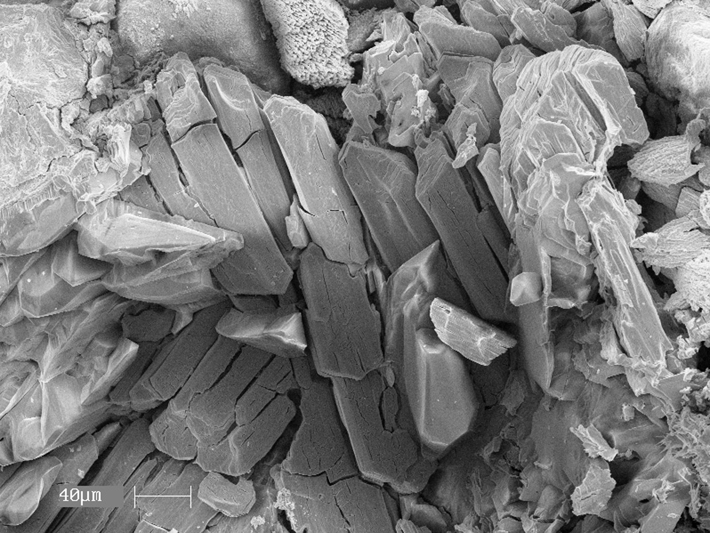 This scanning electron microscope image shows crystals of the mineral nashite – named in honor of University of Utah geologist Barbara Nash – from the old Little Eva uranium mine near Moab, Utah.