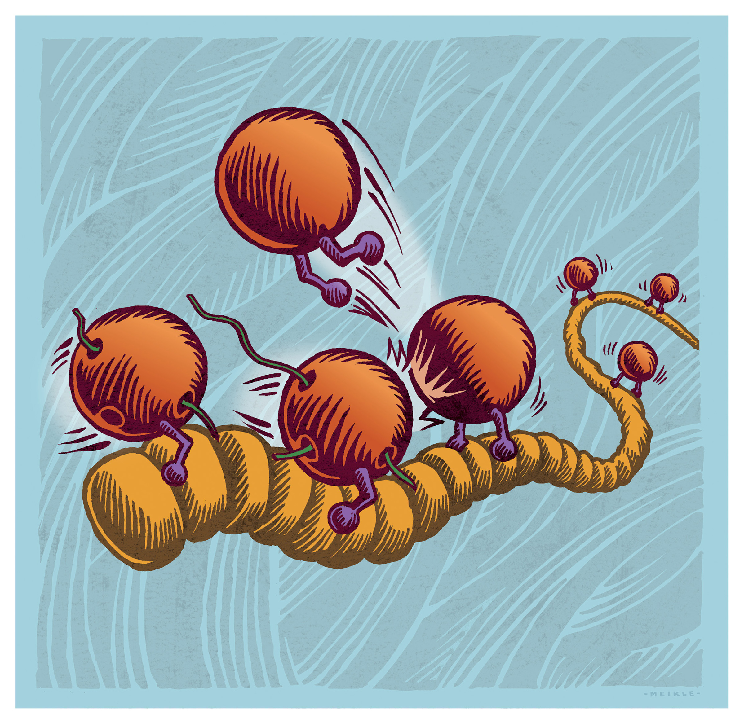 This illustration depicts an exotic mechanism by which a family of viruses named NNS RNA viruses may replicate to make copies of themselves, according to a University of Utah study. The family includes a livestock virus named VSV as well as viruses responsible for Ebola, measles, rabies and a common respiratory virus, RSV. The mechanism may serve as a target for new drugs against Ebola in five to 10 years. The yellowish strand is a viral genetic blueprint made of RNA and covered by bead-like proteins. The orange, ball-shaped objects are enzymes called polymerases, which normally read and copy the RNA to make new virus particles.  That process can begin only when some polymerases attach to the correct end of the RNA and start reading it, which the two polymerases on the left are doing. The other polymerases (the four on the right side) are attached to the protein-covered RNA but slide along it until they collide with the polymerases that already are reading the RNA. Those collisions kick sliding polymerases loose (top center) so they can float to the proper end of the RNA and start reading it. Researchers hope future drugs can be developed to target this sliding mechanism as a new treatment for Ebola.