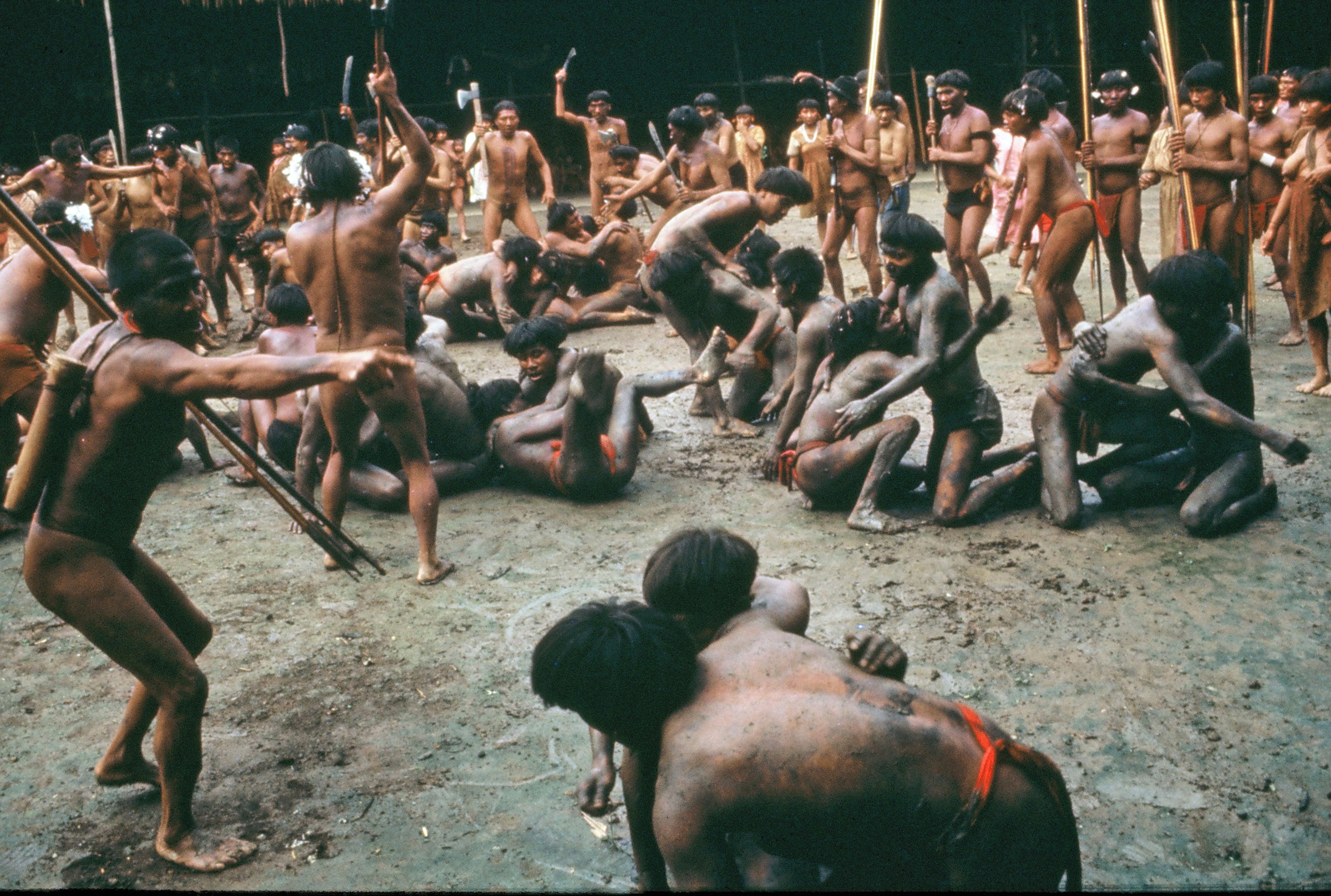 In this mid-1960s photo, men from two Yanomamö villages in the Amazon engage in nonhostile combat to determine the strength and fighting prowess of potential alliance partners. A new study from the University of Utah and University of Missouri indicates the  Yanomamö – who engaged in killing to gain status in past decades – often formed alliances with men in different villages when they attacked and killed people in other communities, then married their allies’ sisters or daughters. The idea is they fought like a “band of brothers-in-law” more than a closely related “band of brothers,” fathers and sons from a single community.