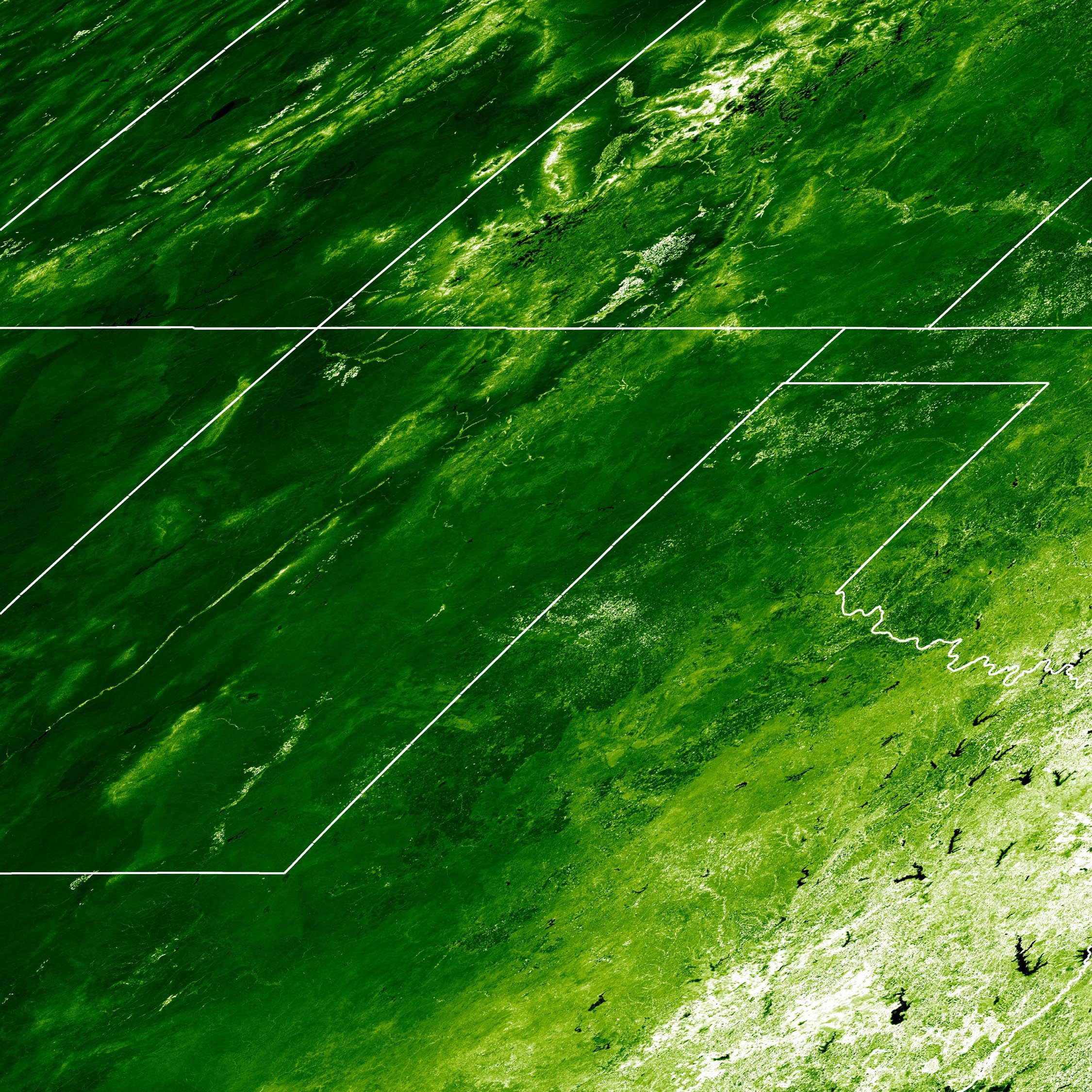 This satellite image uses what is known as the Enhanced Vegetation Index (EVI) to show plant cover in June 2004 in the U.S. Four Corners region of Utah, Colorado, New Mexico and Arizona. Also shown are parts of Nevada, Texas, Oklahoma and Kansas. Lighter, brighter greens indicate a greater amount of green plant cover. University of Utah geographers and a biologist have shown that in areas where deer mice carry the deadly hantavirus, a surge in greenery shown on satellite images can help predict increased mouse populations and risk of hantavirus transmission more than a year later. The same method may be used to help forecast outbreaks of other rodent-borne diseases. The image was made from data from an instrument named MODIS on NASA's Terra satellite.