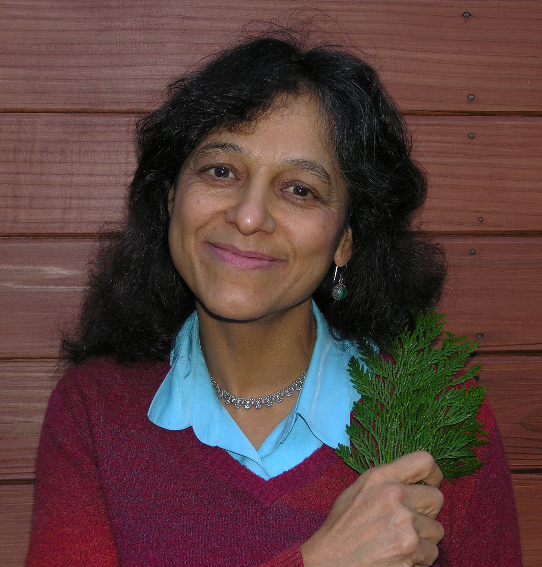 University of Utah biologist Nalini Nadkarni.
