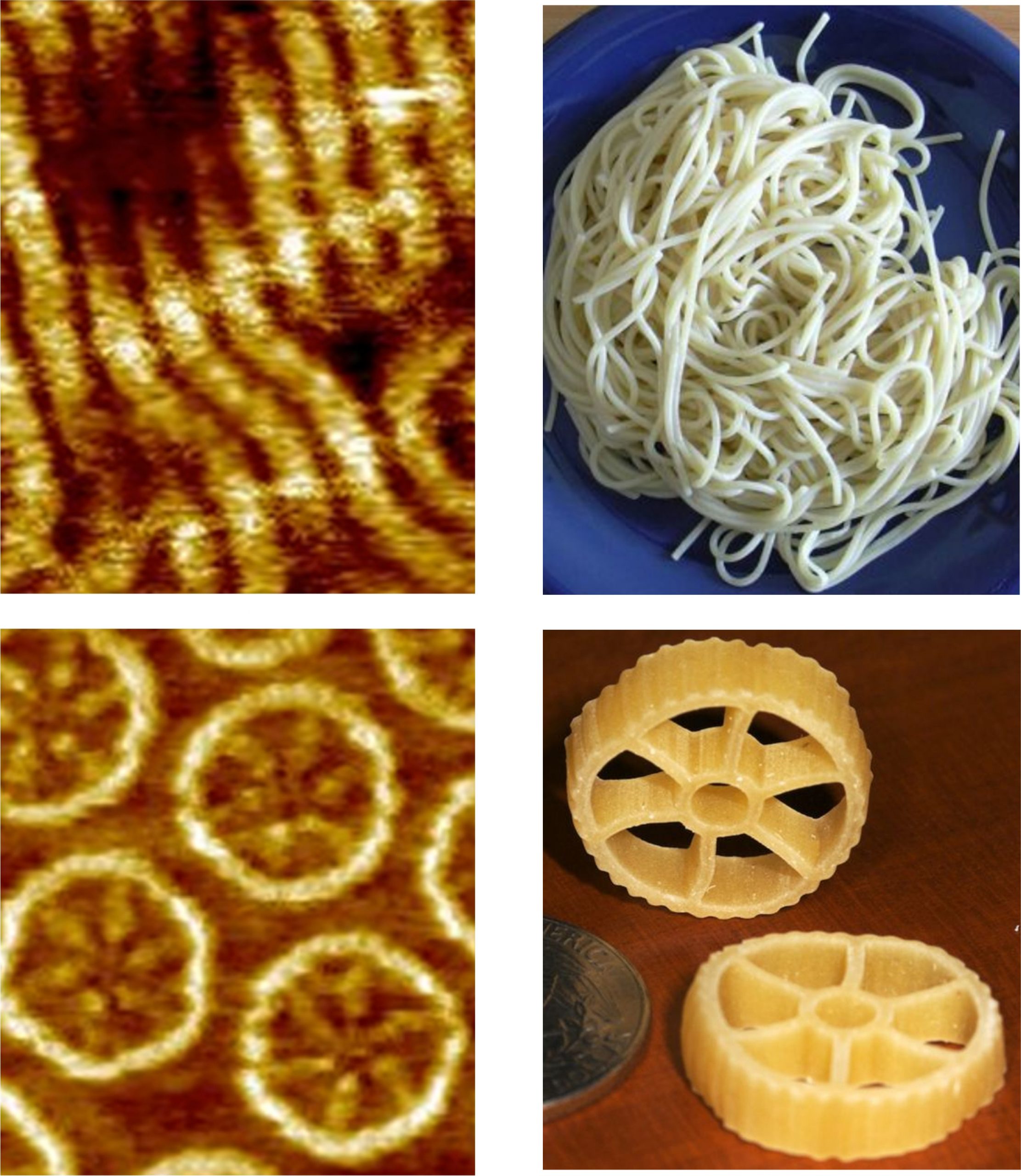 Images of molecules for light-emitting diodes on the left are compared with similar shaped pasta on the right. The upper left electron microscope image shows spaghetti-shaped organic polymers now used for organic light-emitting diodes, or OLEDs. The lower left image shows new molecules – created by scientists at the University of Utah and two German universities – that are shaped like wagon-wheel or rotelle pasta and emit light more efficiently than the spaghetti-shape polymers.