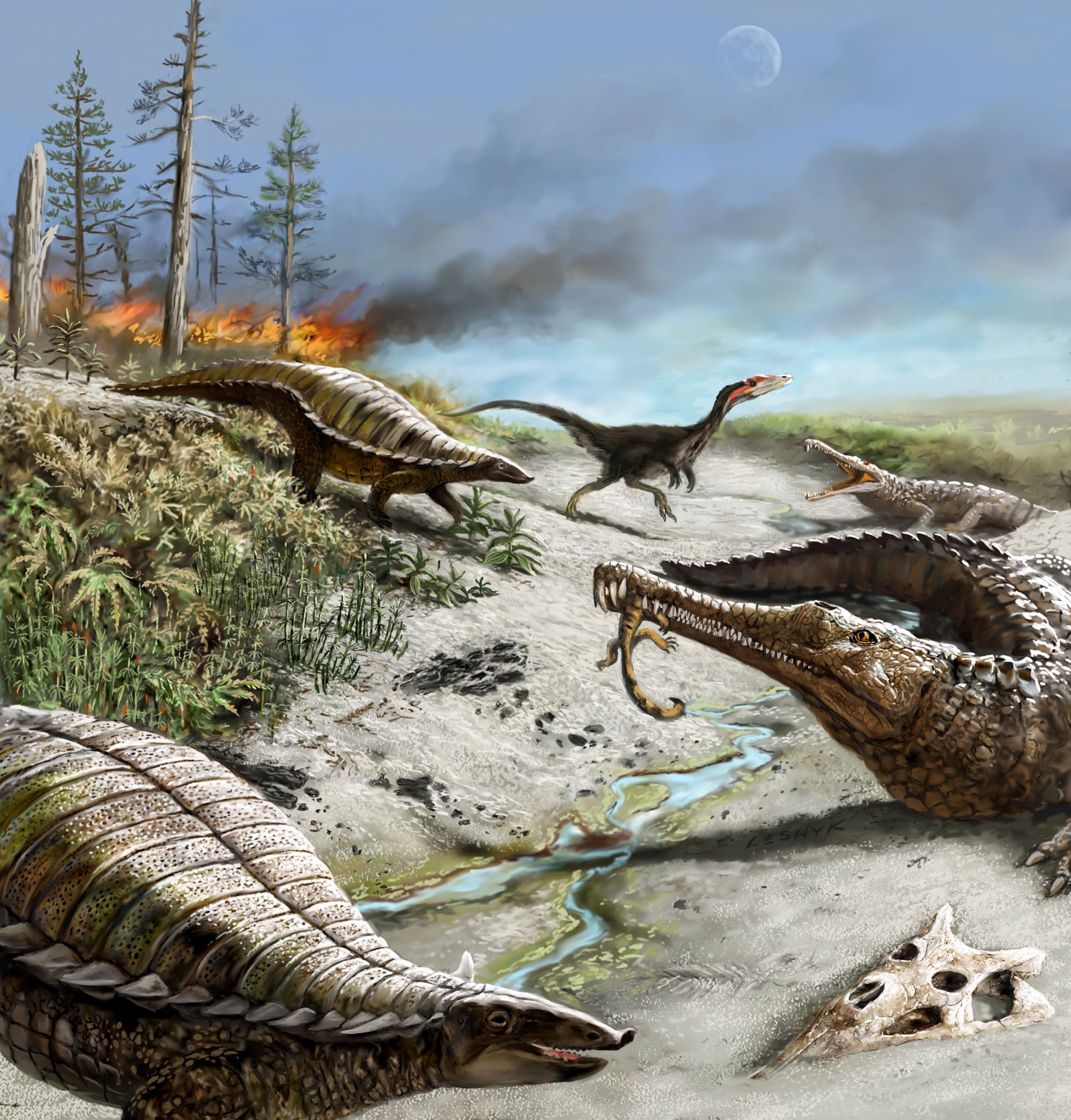 why-big-dinosaurs-steered-clear-of-the-tropics-unews-archive